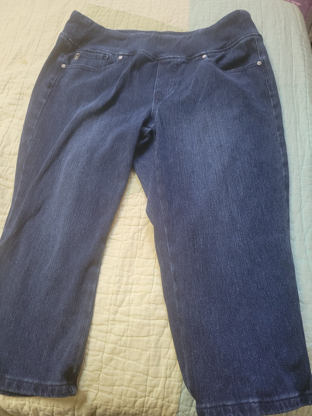 Belle By Kim Gravel Leg Jeans Blue Size 12P